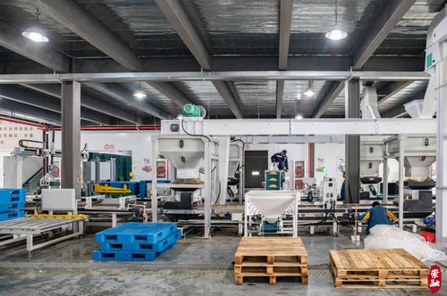 太酷了！崇明这座工厂，以全国领先技术引领绿色未来